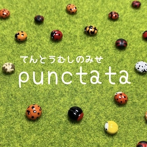 2023_てんとうむしのみせ「punctata」_logo_S