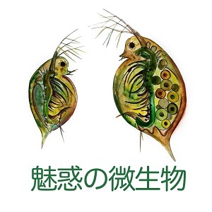 2023_魅惑の微生物_logo_S
