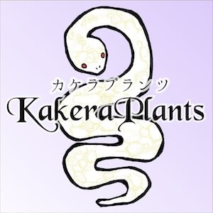 2023_KakeraPlants(ｶｹﾗﾌﾟﾗﾝﾂ)_logo_S