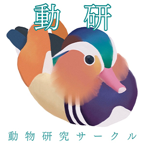 2023_動物研究サークル_logo_S