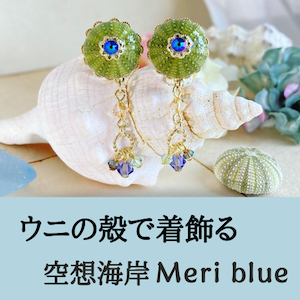 2023_ウニ殻アーティスト 空想海岸Meri blue_logo_S