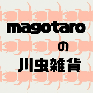 2023_magotaroの川虫雑貨_logo_S