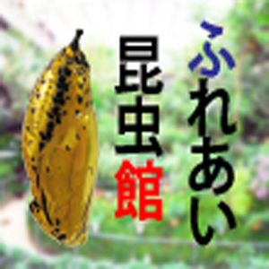 2023_ふれあい昆虫館_logo_S