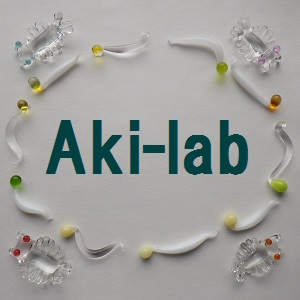 2023_Aki-lab_logo_S.jpg
