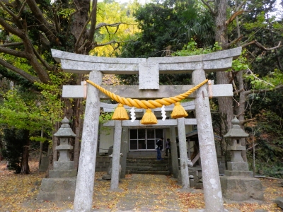 2023 03 03金子神社 (1)