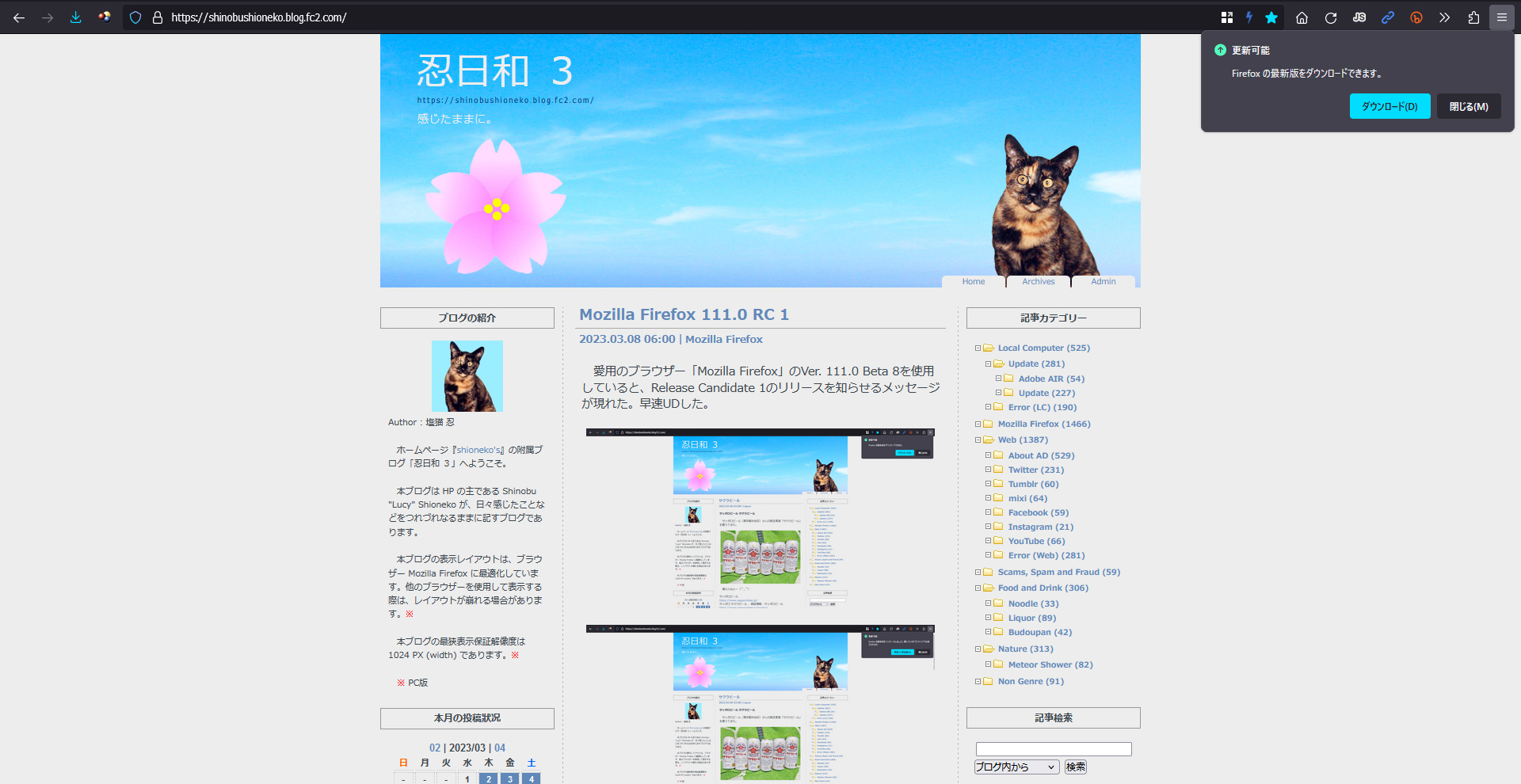 Mozilla Firefox 111.0 RC 2