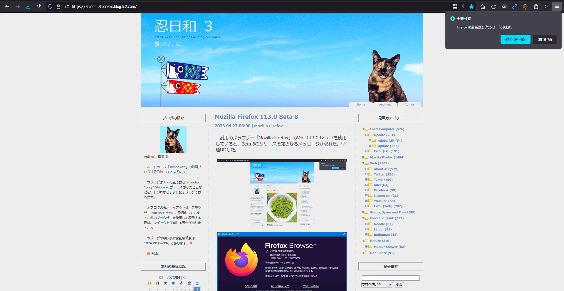 Mozilla Firefox 113.0 Beta 9