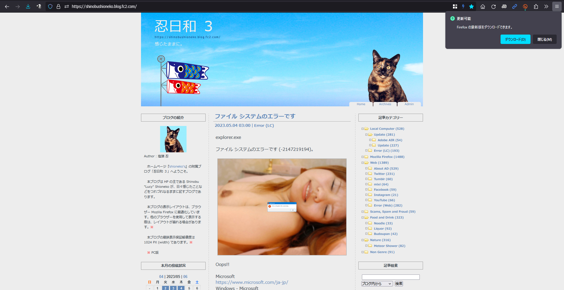 Mozilla Firefox 113.0 RC 2