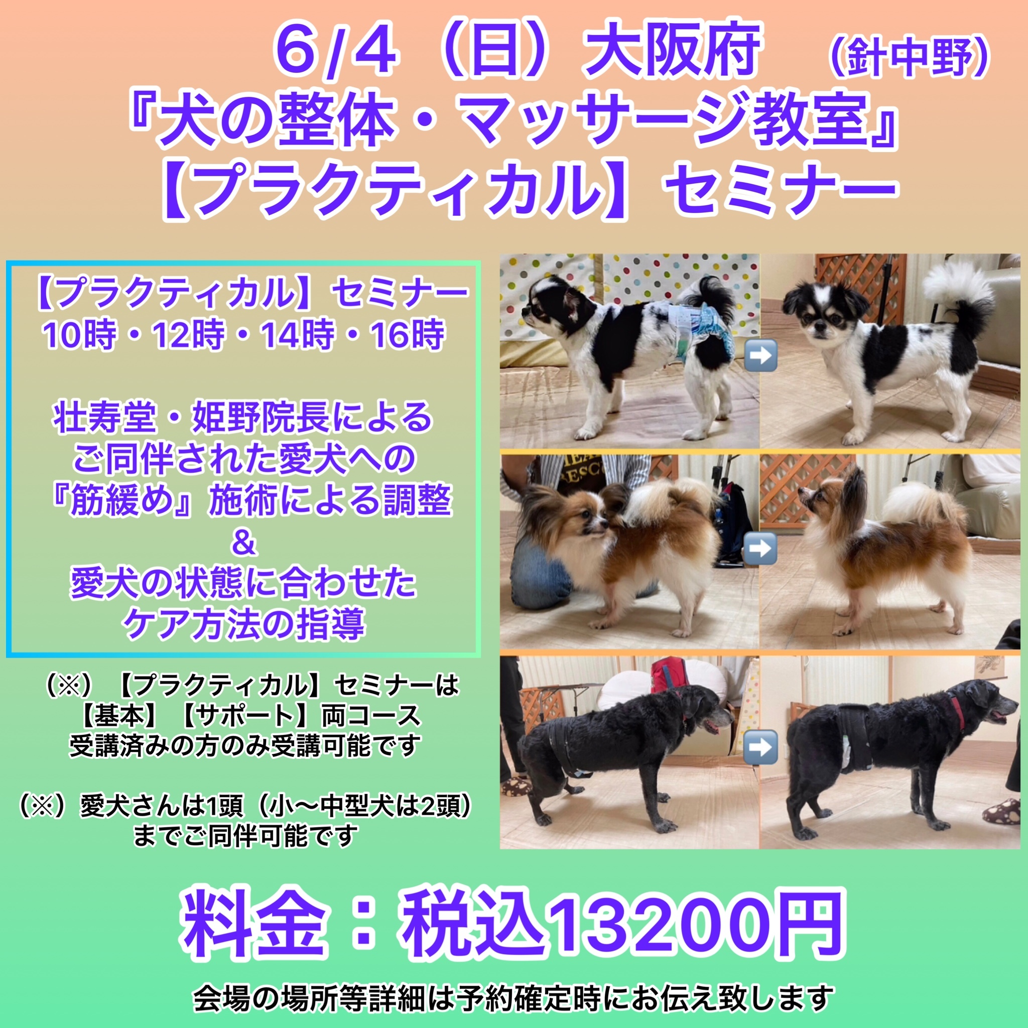 大阪府開催犬の整体マッサージセミナー告知