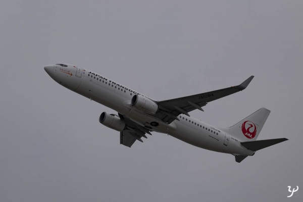 L1040695-日本トランスオーシャン航空-Boeing 737-8Q3
