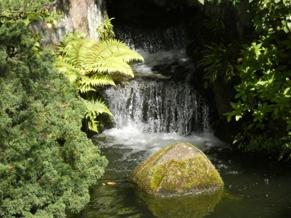 由志園の庭園　滝