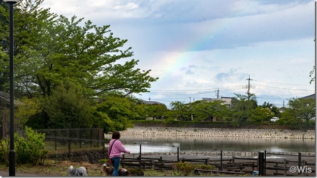 波志江沼環境ふれあい公園の虹