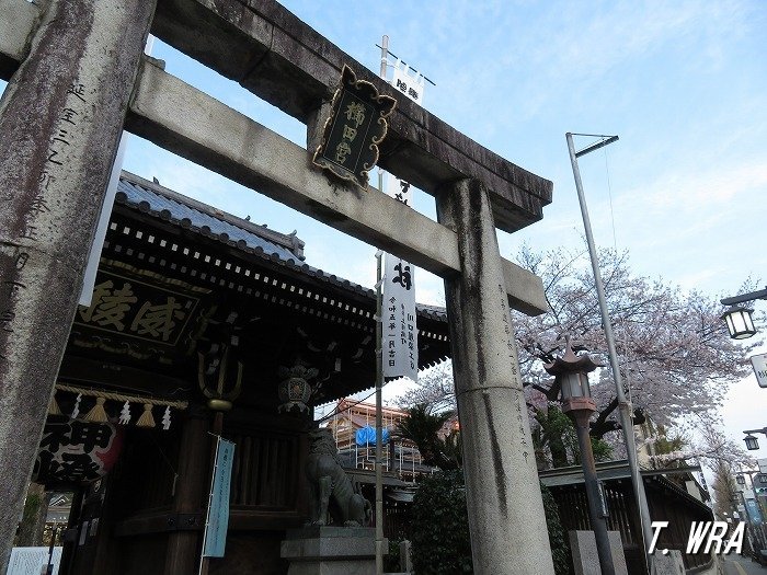 桜満開の櫛田神社